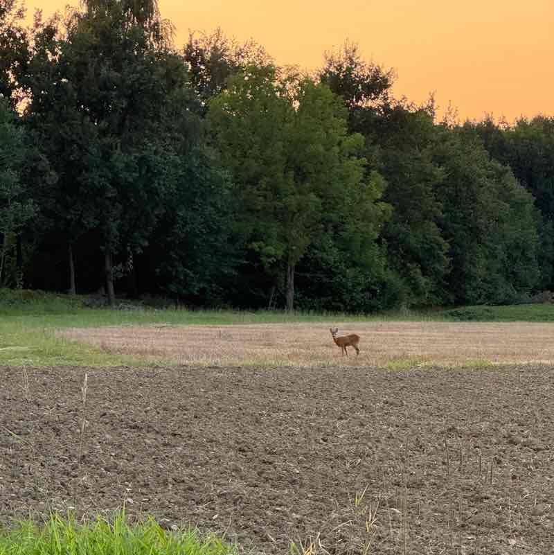 luciejurenova post 3