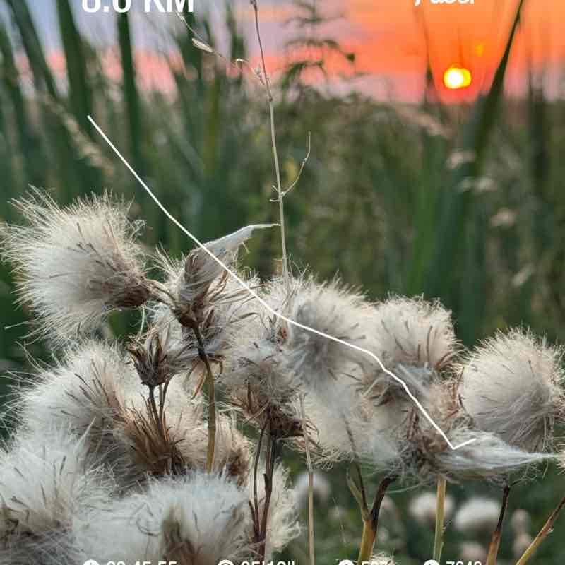 luciejurenova post 1