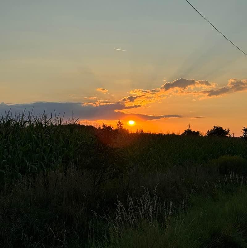 luciejurenova post 2