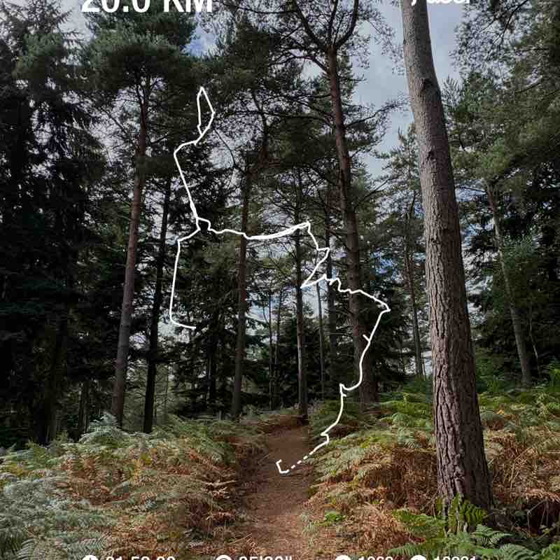 luciejurenova post 1