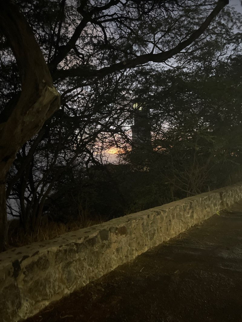 walking near me in Paki Community Park in winter