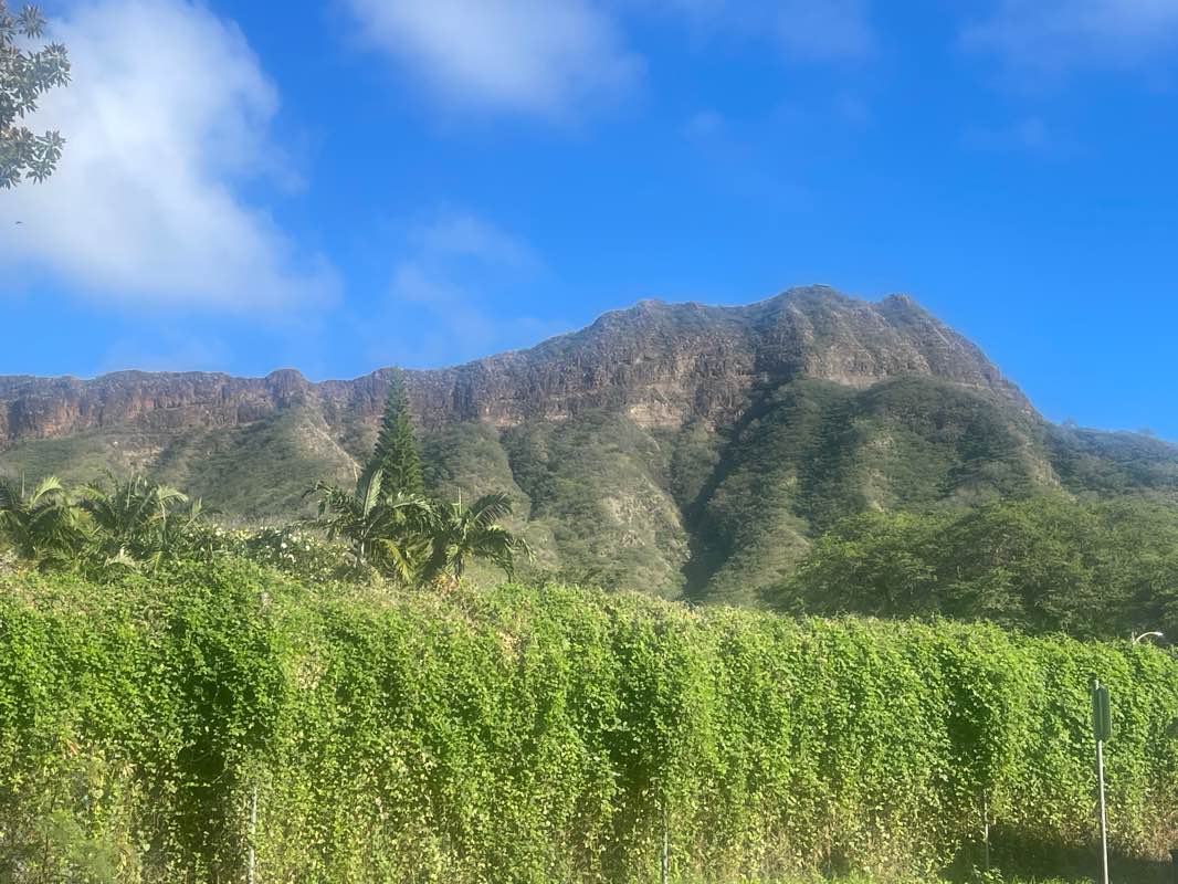 walking near me in Thomas Square in winter