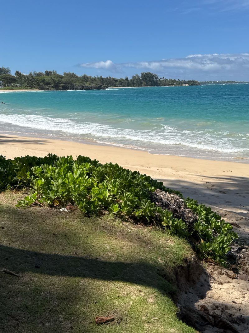 walking near me in Kokololio Beach Park in autumn
