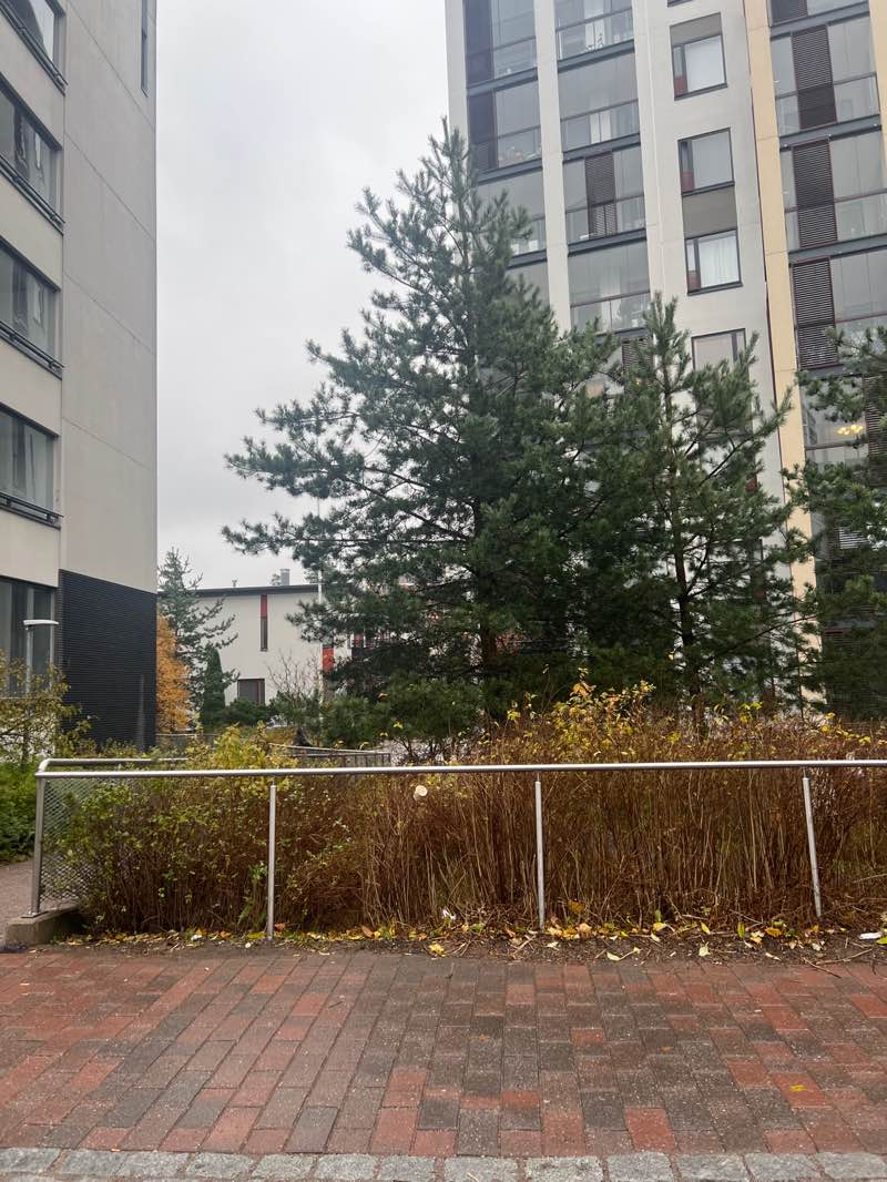 walking near me in Matinniitty in autumn