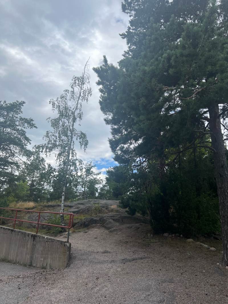 walking near me in Päiväpuisto in autumn