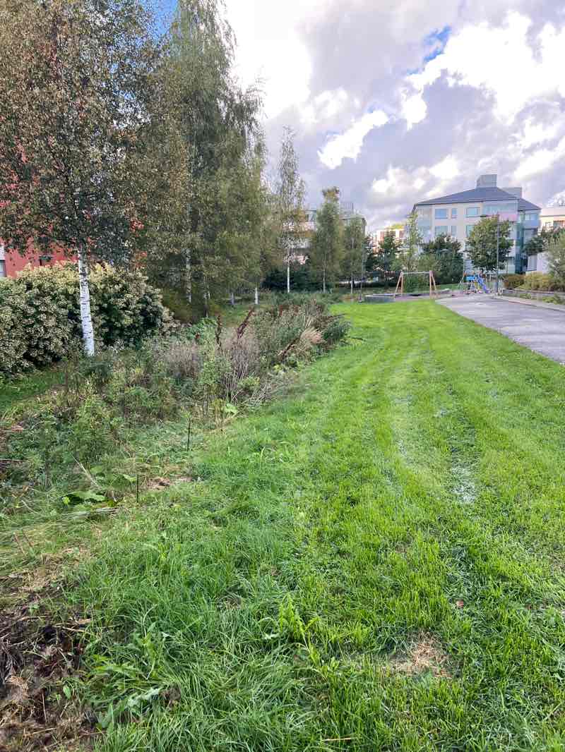 walking near me in Hans Floorin Puisto in autumn