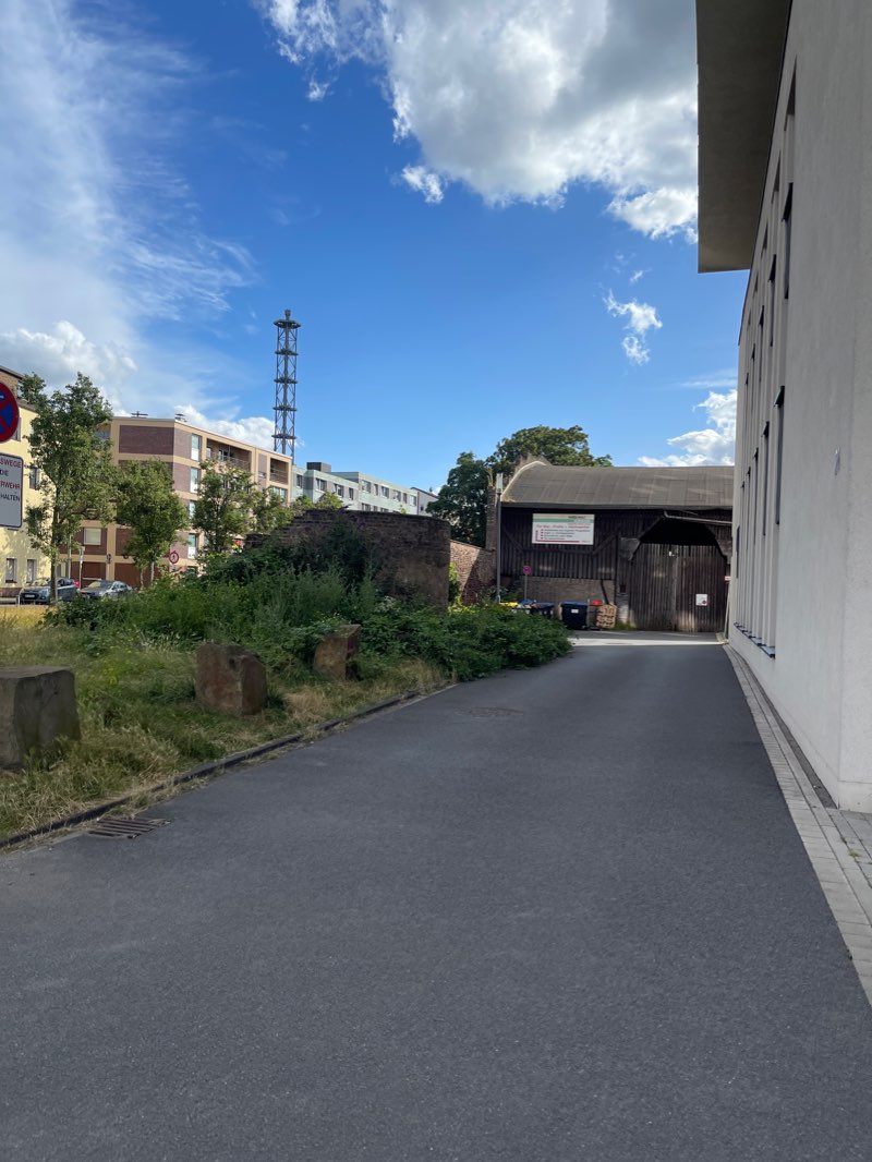 walking near me in Goerdeler-Park in winter