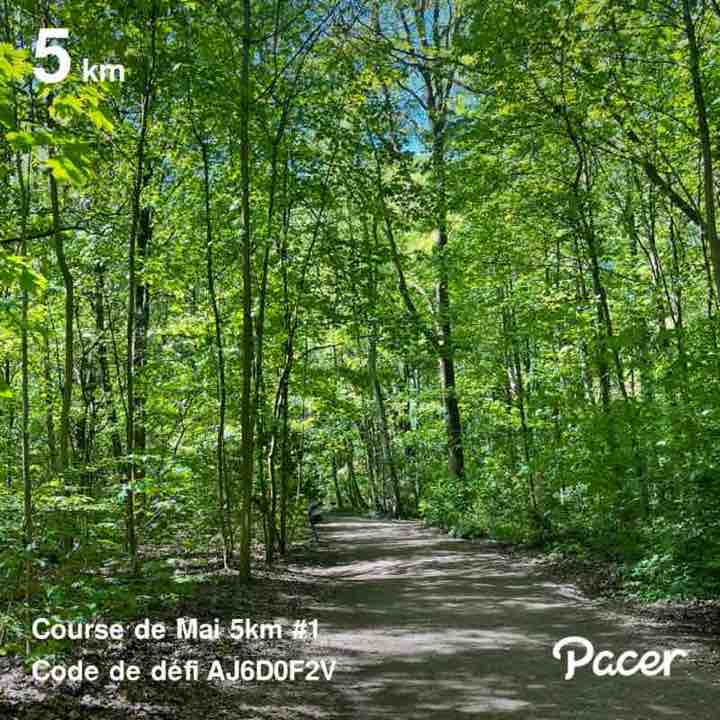 Frédéric David post 1