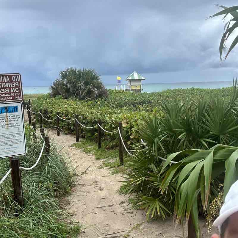 davishertrich post 2