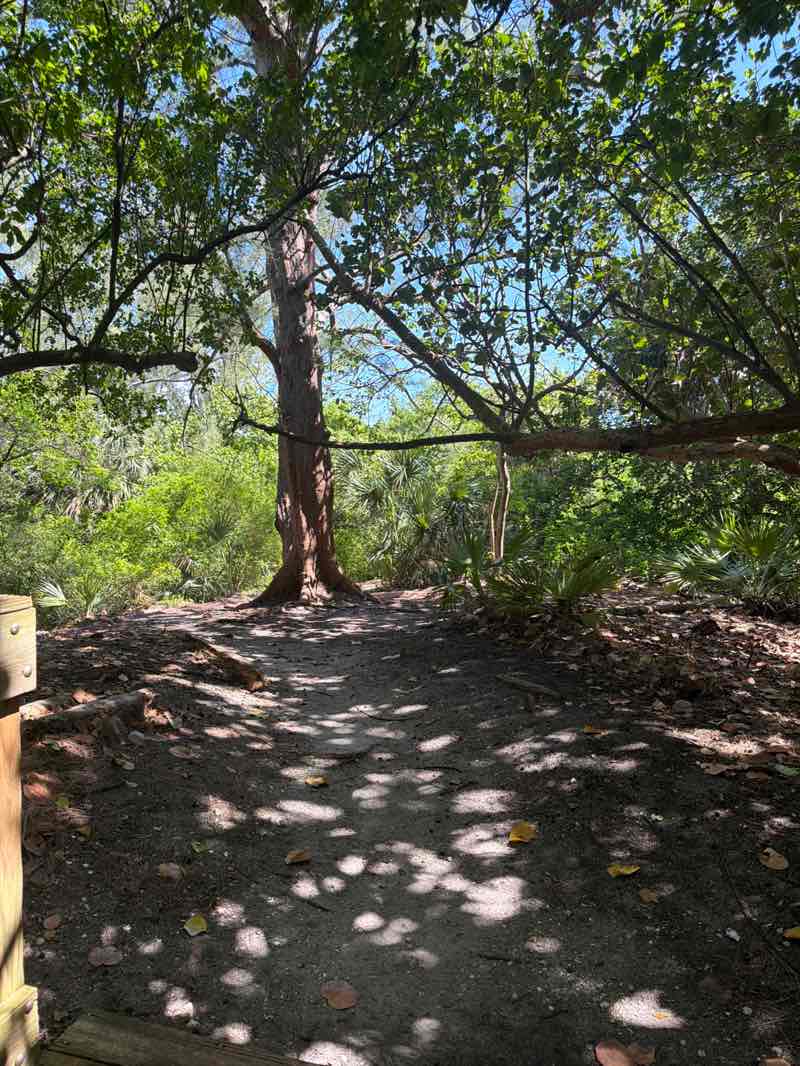 walking near me in Atlantic Dunes Park in summer