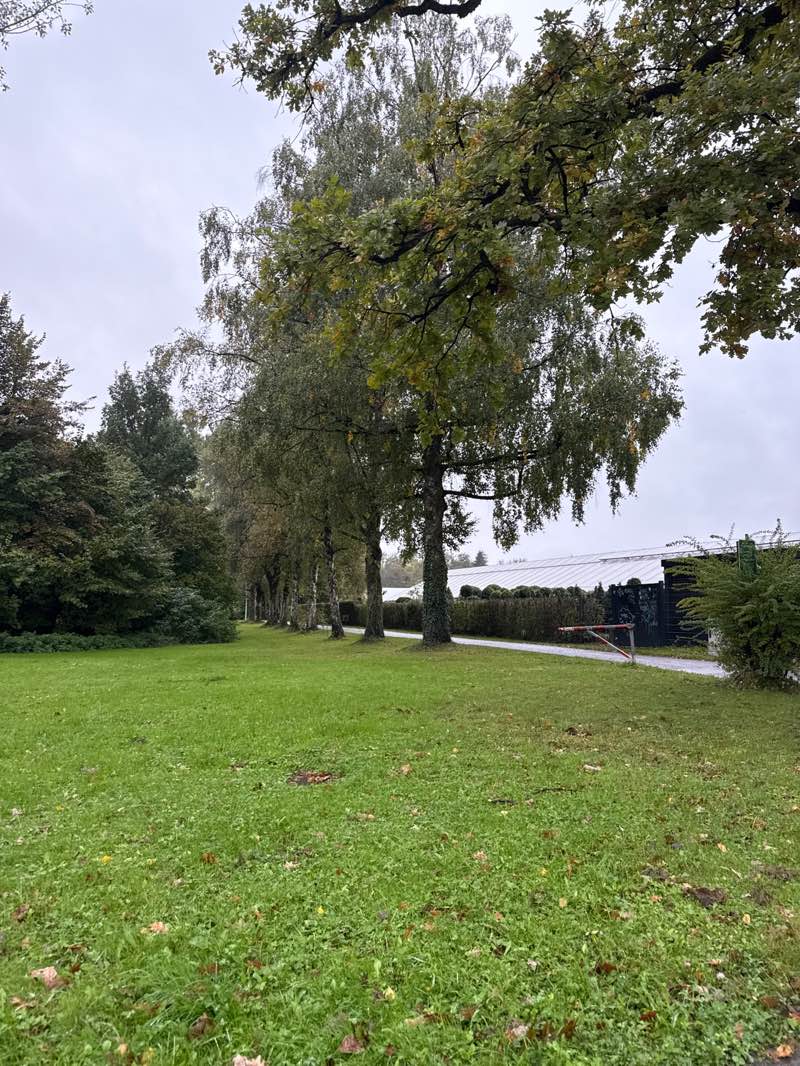 walking near me in Park Seniorenheim Nonntal in autumn