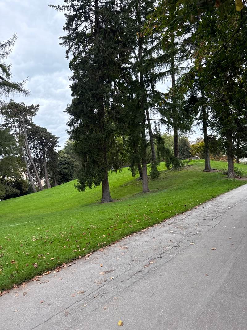 walking near me in Kurgarten in autumn