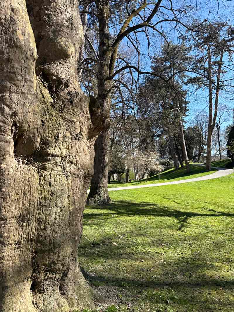 walking near me in Mirabellgarten in spring
