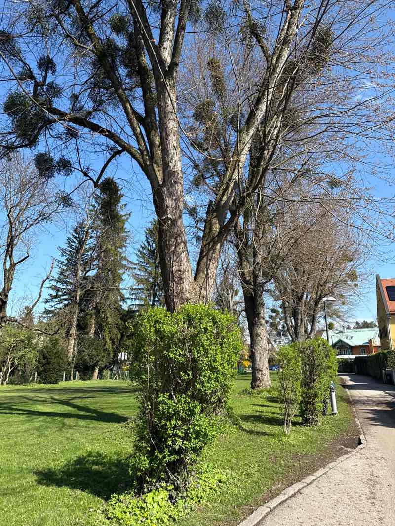 walking near me in Stölzlpark in spring