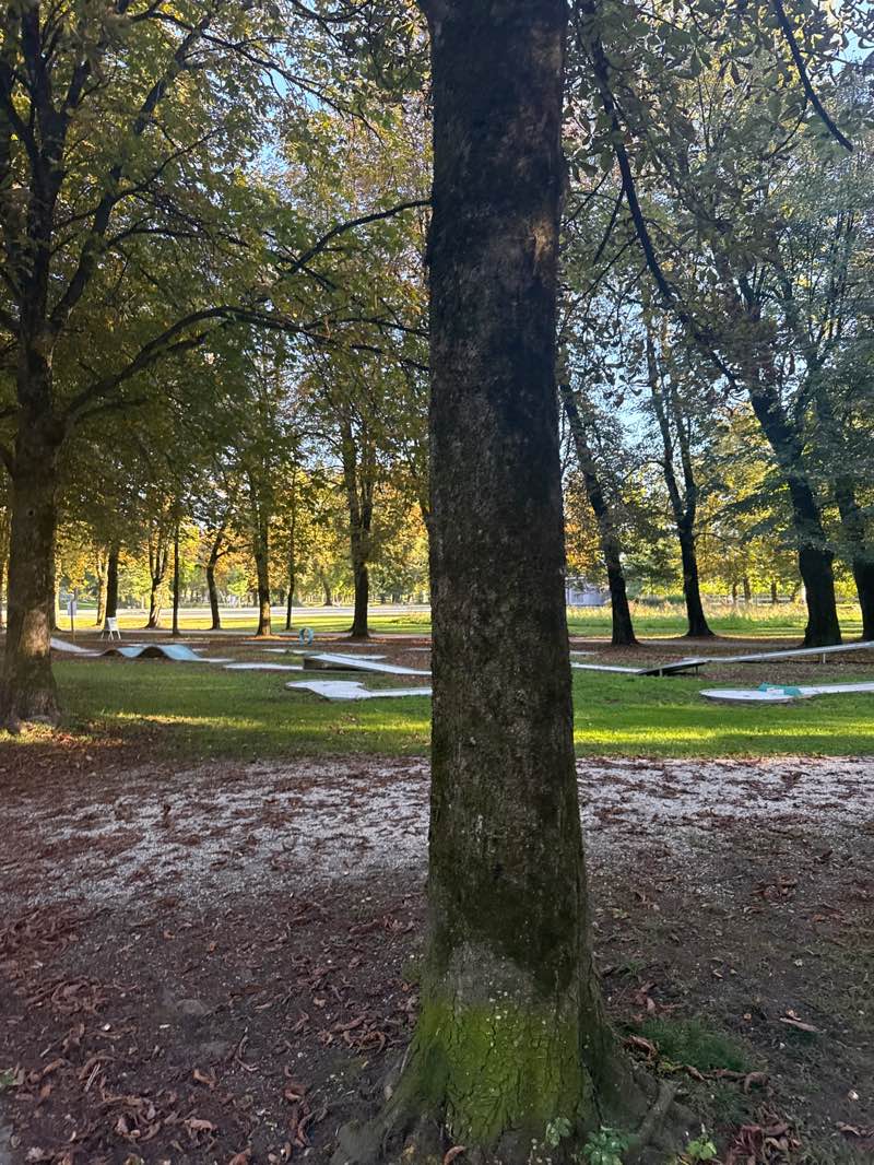walking near me in Volksgarten (Franz-Josef-Park) in autumn