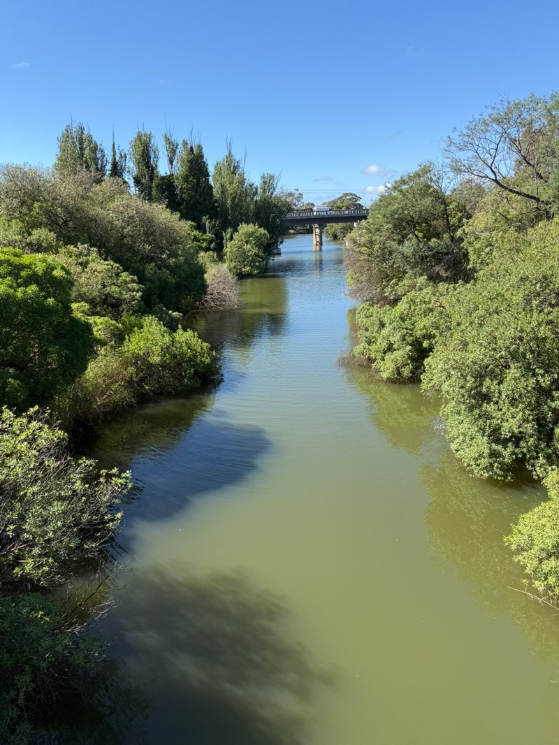 walking near me in Howitt Park in summer