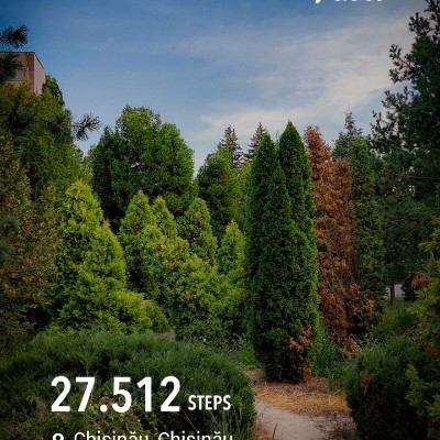 LIVE LIFE Dory post image