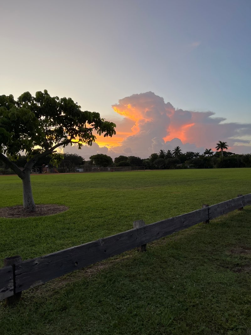 walking near me in Mirror Lake Park in autumn