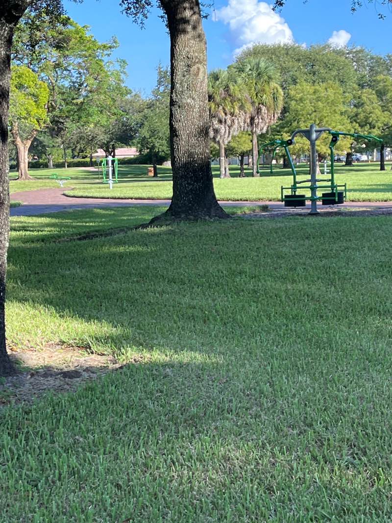 walking near me in Liberty Tree Park in autumn