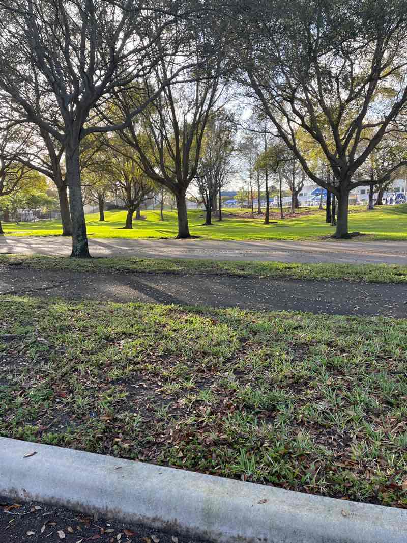 walking near me in Plantation Central Park in spring