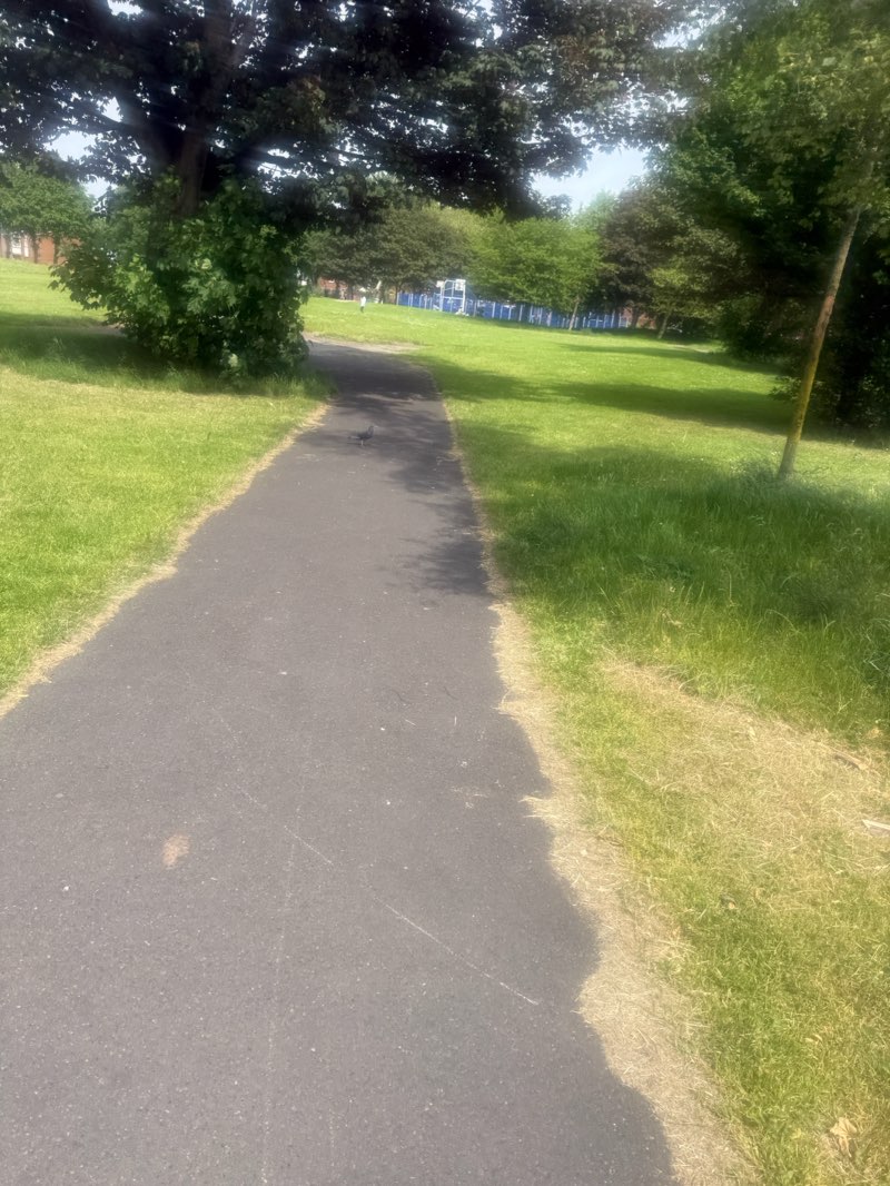 walking near me in Kensington Park in summer