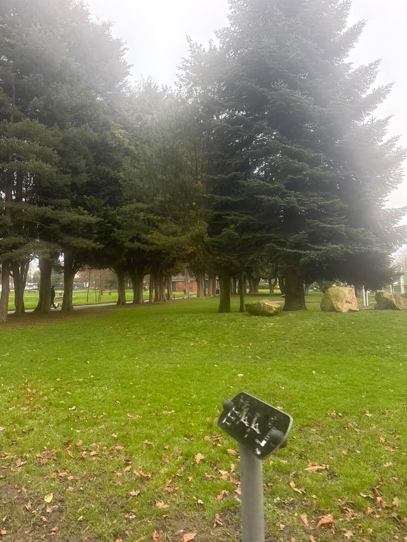 walking near me in Henley Park in winter