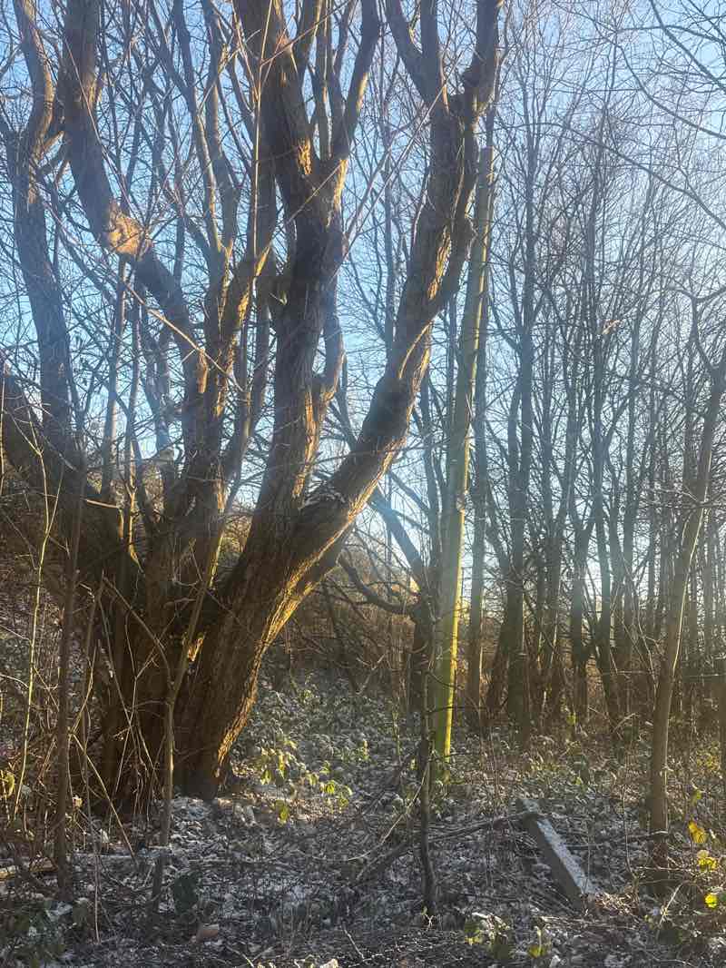 walking near me in Sandhills in winter