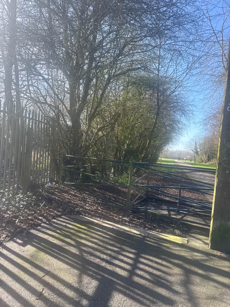 walking near me in Stadt Moers Park: Pottery Fields in spring