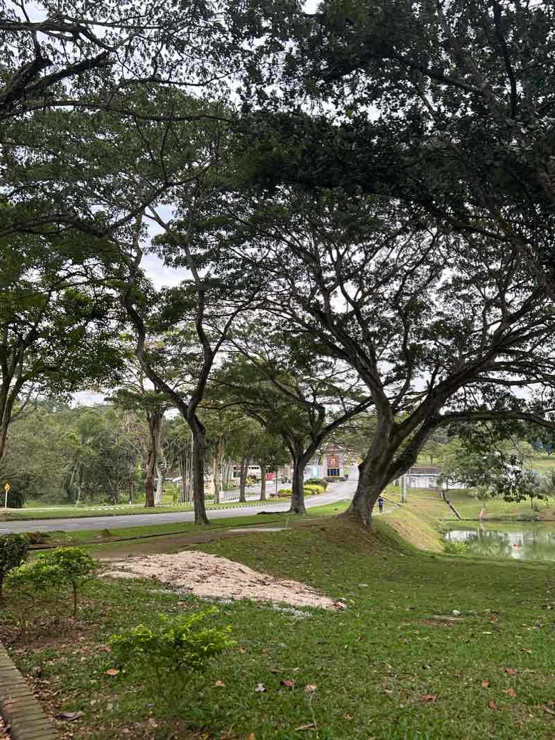 walking near me in Taman Riadah UTM in winter