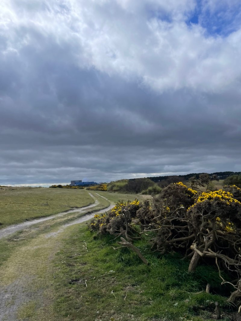 walking near me in Minsmere in winter