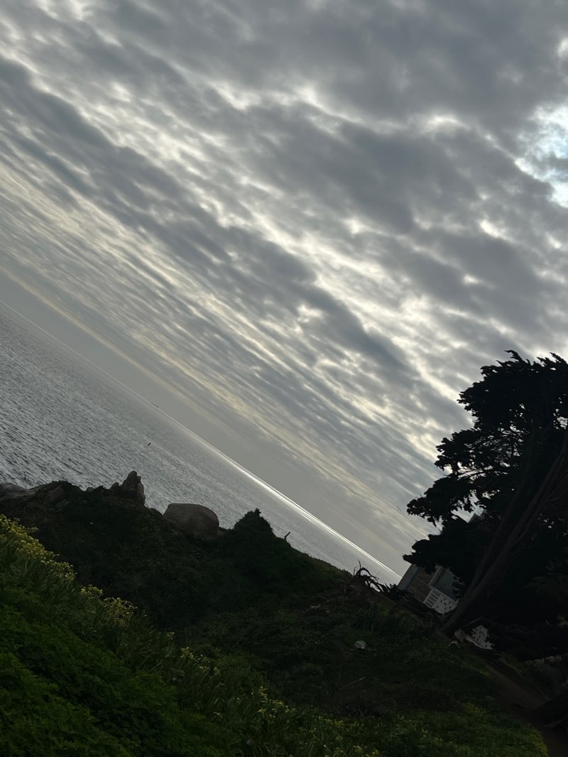 walking near me in Parque Los Pellines in summer