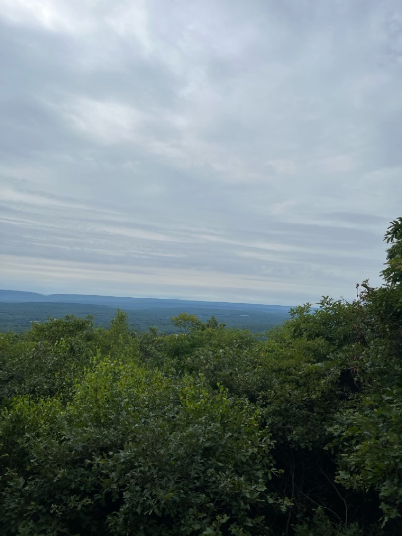 walking near me in Big Pocono State Park in summer