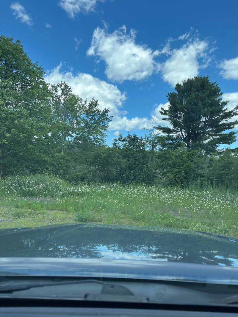 walking near me in Monument Park in summer