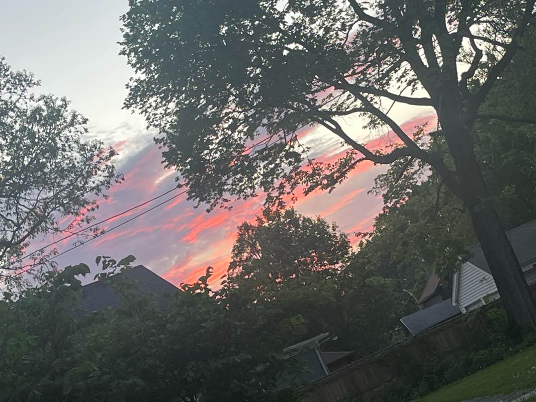 walking near me in McCarty Park in spring