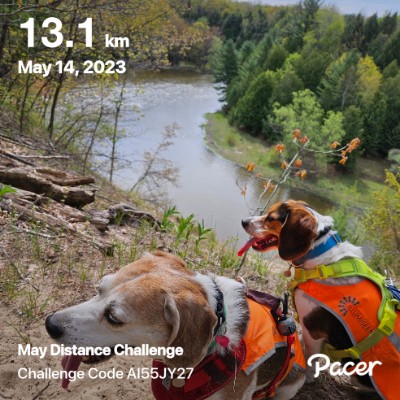 Tricia 🇨🇦 post 1