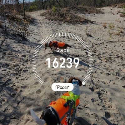 Tricia 🇨🇦 post 1