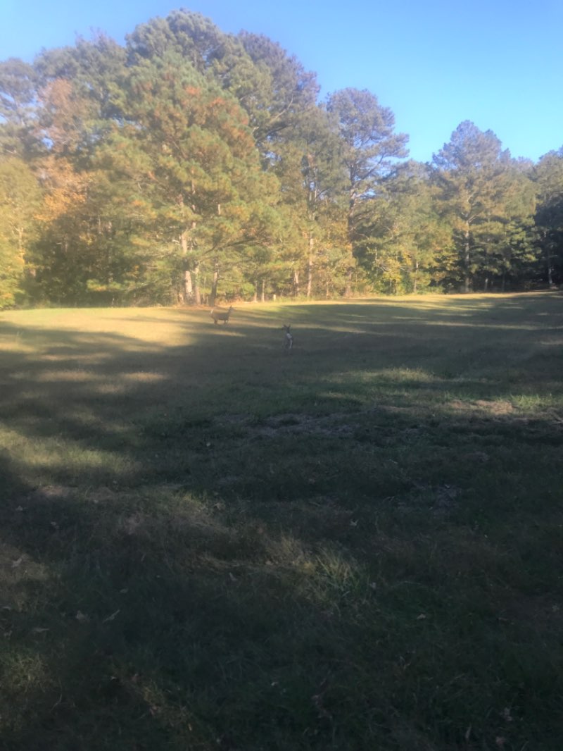 walking near me in Miners Creek Park in winter