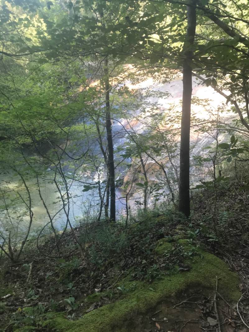 walking near me in Cochran Mill Park in winter