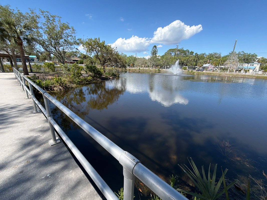walking near me in Ted Phillips Wood Ibis Park in spring
