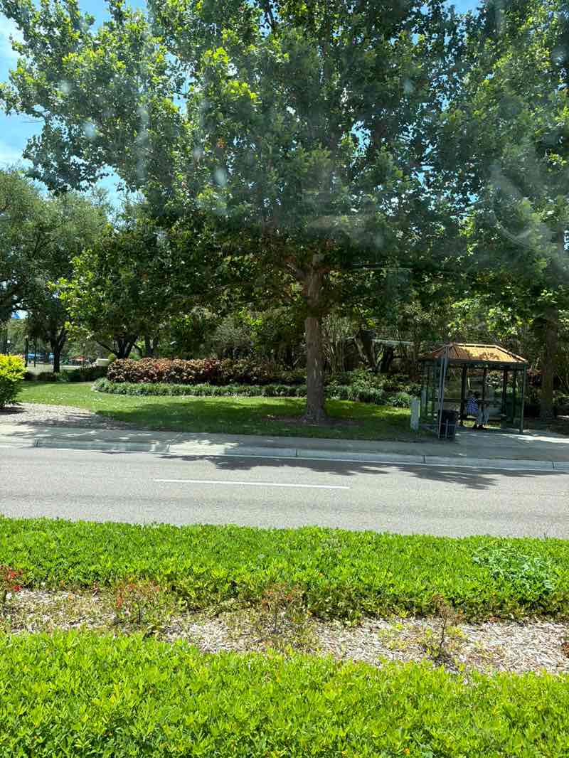 walking near me in Largo Central Park in summer