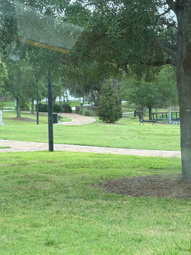 walking near me in Lake David Park in summer