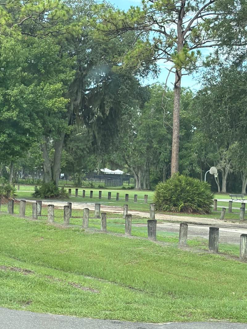walking near me in Branchton Park in summer
