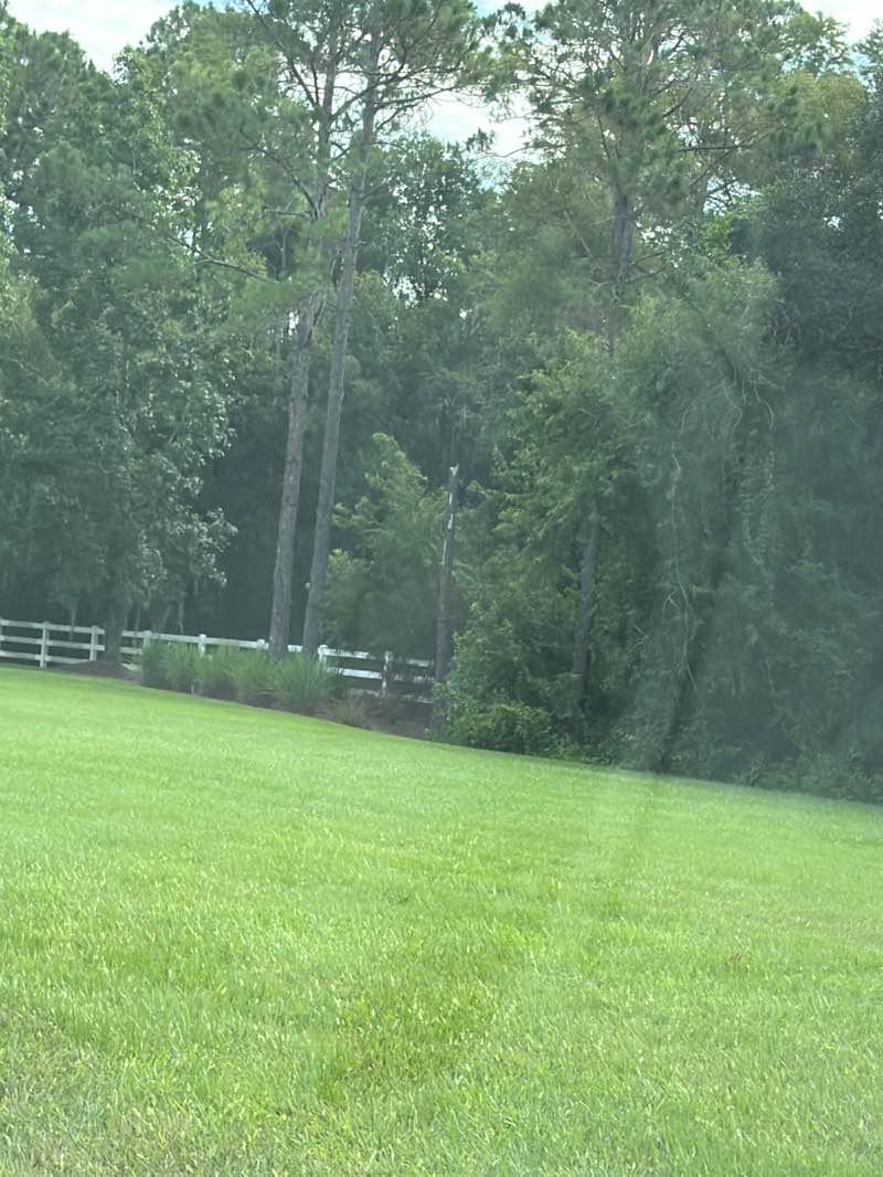 walking near me in Meadow Pointe III Community Association in summer