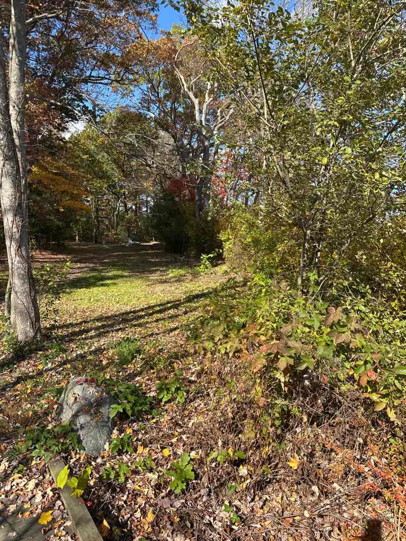 walking near me in Bertha Soule Memorial Park in autumn