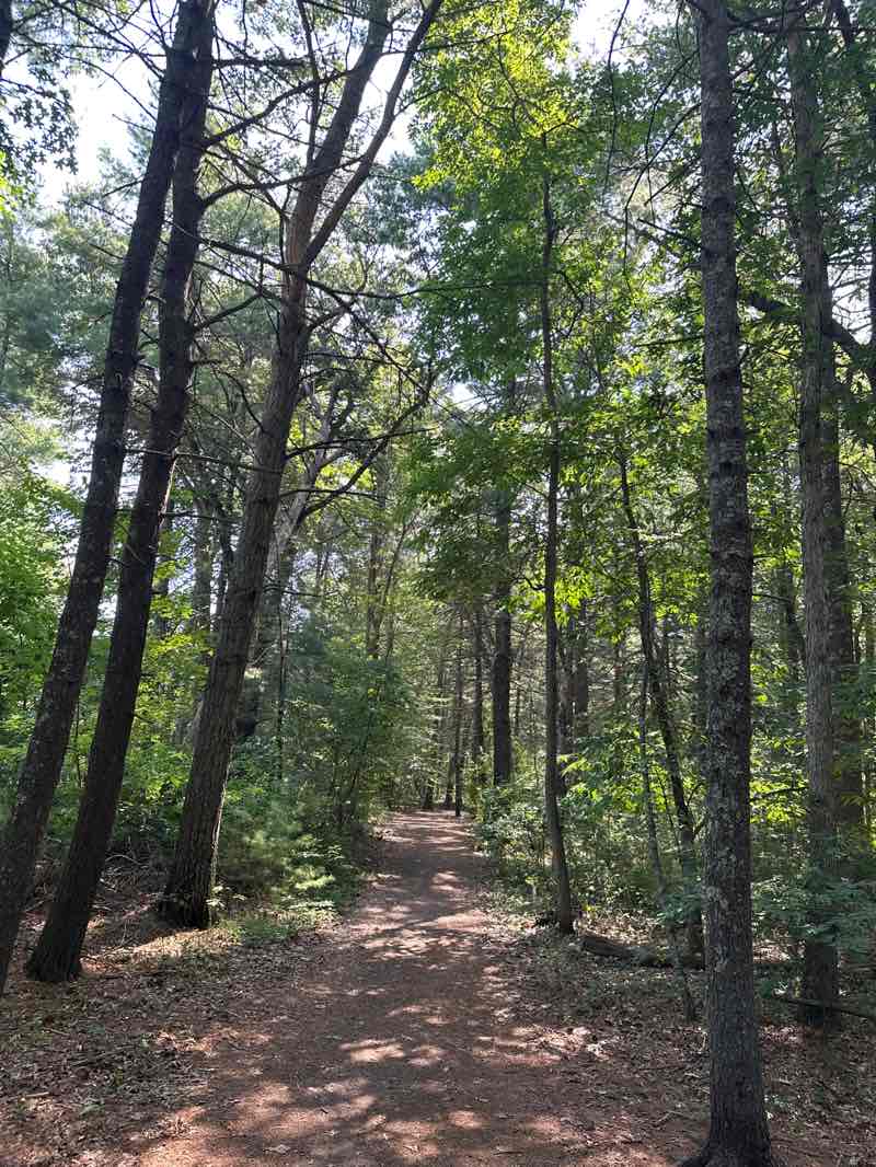 walking near me in Deborah Sampson Park in autumn