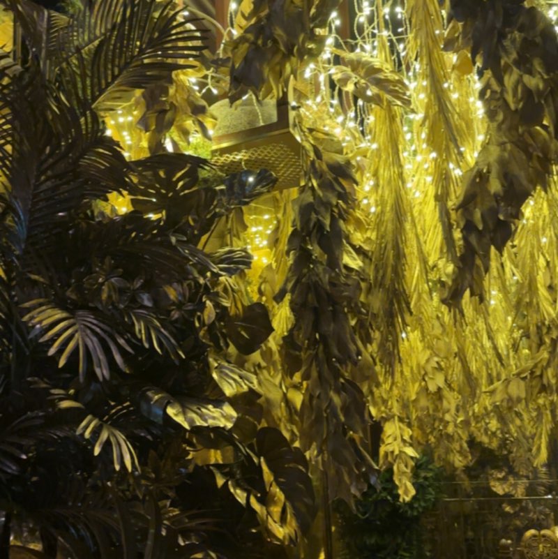 Saad Aljazzar profile