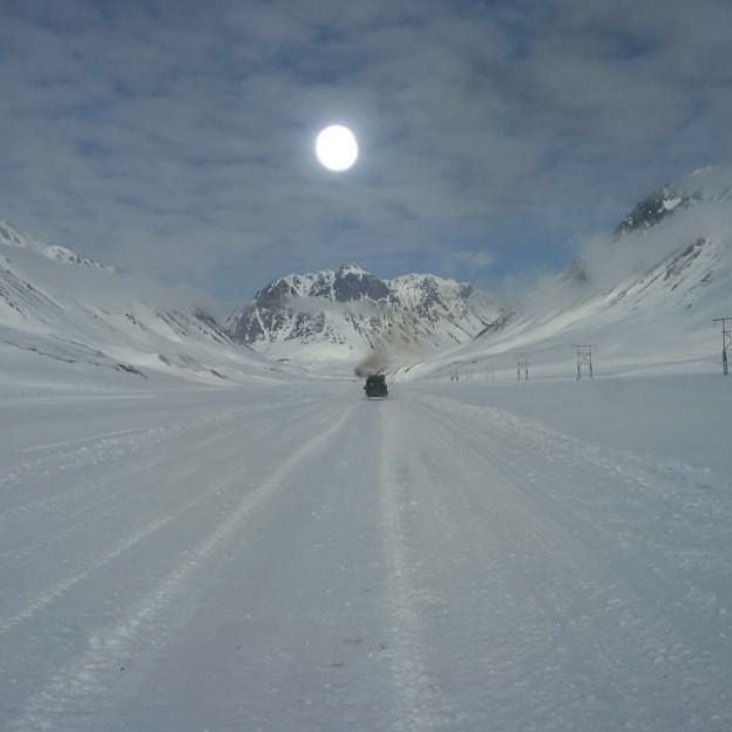 ELLIS Лариса post image