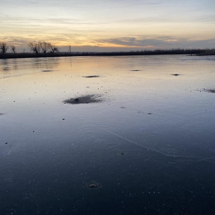 ELLIS Лариса post image