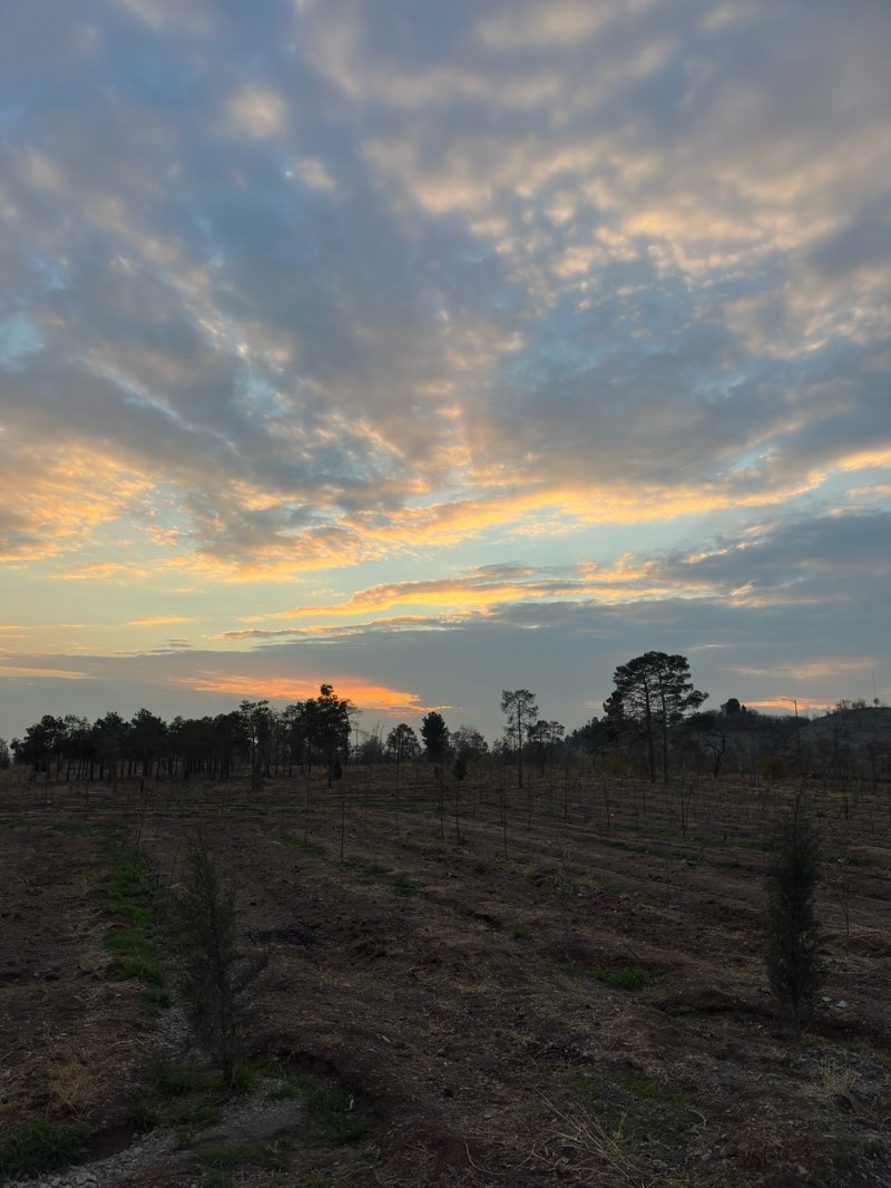 walking near me in Chitgar Park in winter