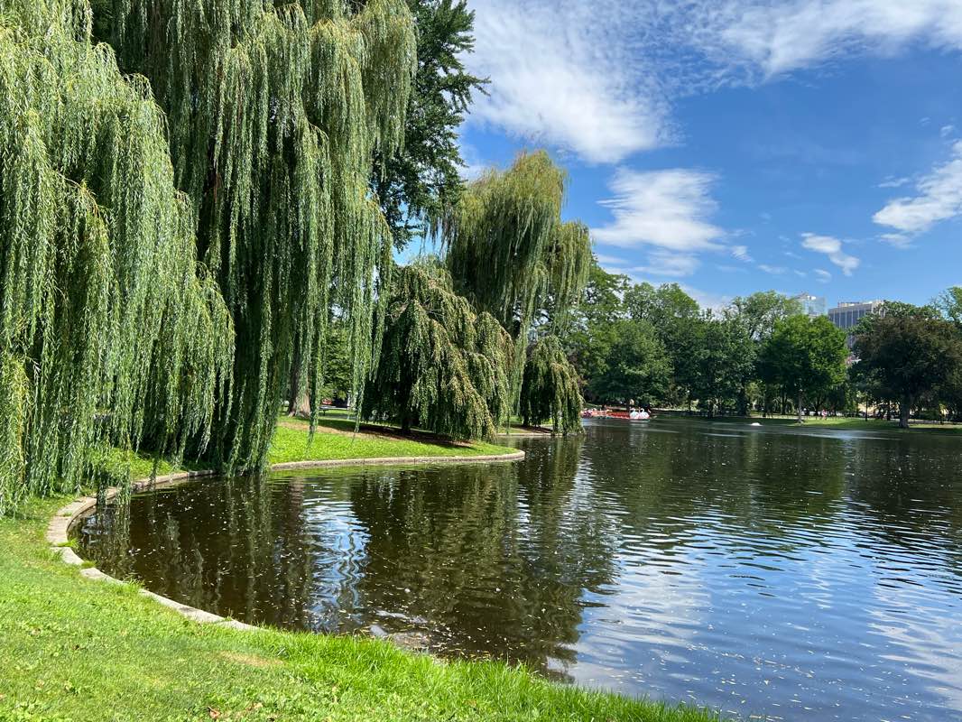 walking near me in Charles River Esplanade in winter